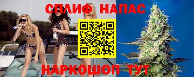 амф Заволжье