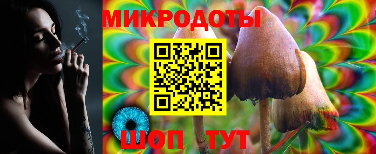 Псилоцибиновые грибы ЛСД Коркино